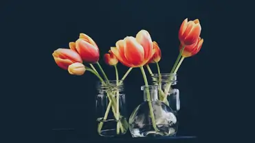 Valentines Day Flower Deals